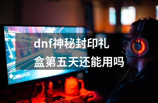 dnf神秘封印礼盒第五天还能用吗-第1张-游戏相关-尔合网