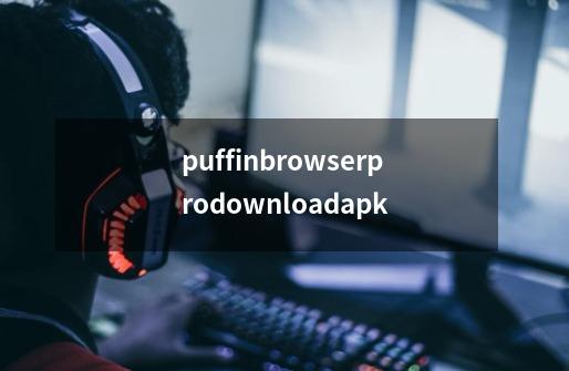 puffinbrowserprodownloadapk-第1张-游戏相关-尔合网