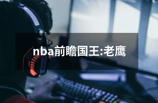 nba前瞻国王:老鹰-第1张-游戏相关-尔合网