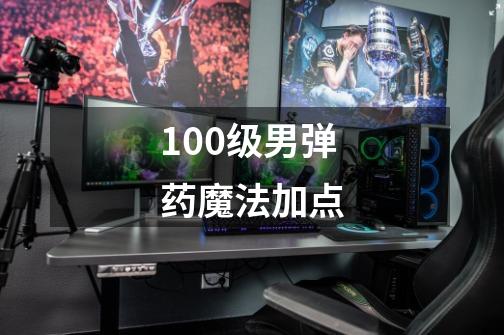 100级男弹药魔法加点-第1张-游戏相关-尔合网