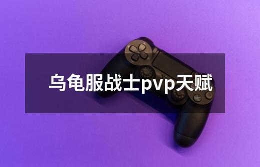 乌龟服战士pvp天赋-第1张-游戏相关-尔合网