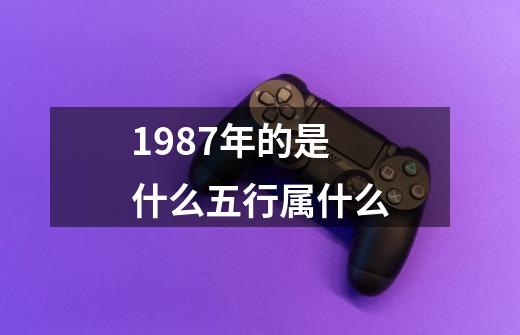 1987年的是什么五行属什么-第1张-游戏相关-尔合网