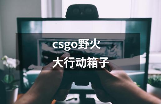 csgo野火大行动箱子-第1张-游戏相关-尔合网