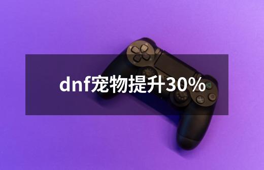 dnf宠物提升30%-第1张-游戏相关-尔合网