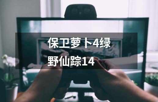 保卫萝卜4绿野仙踪14-第1张-游戏相关-尔合网