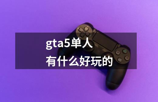 gta5单人有什么好玩的-第1张-游戏相关-尔合网