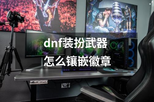 dnf装扮武器怎么镶嵌徽章-第1张-游戏相关-尔合网