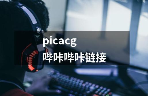 picacg哔咔哔咔链接-第1张-游戏相关-尔合网