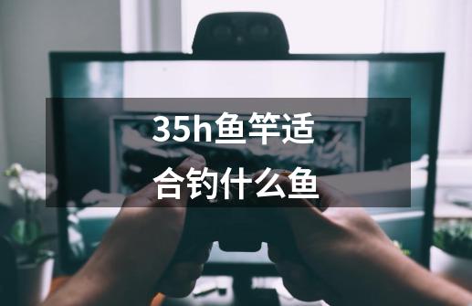 35h鱼竿适合钓什么鱼-第1张-游戏相关-尔合网