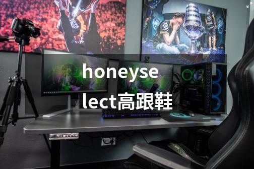 honeyselect高跟鞋-第1张-游戏相关-尔合网