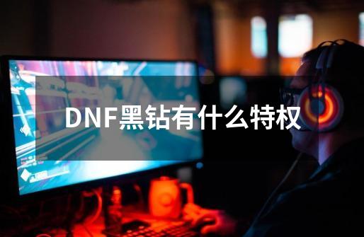 DNF黑钻有什么特权-第1张-游戏相关-尔合网