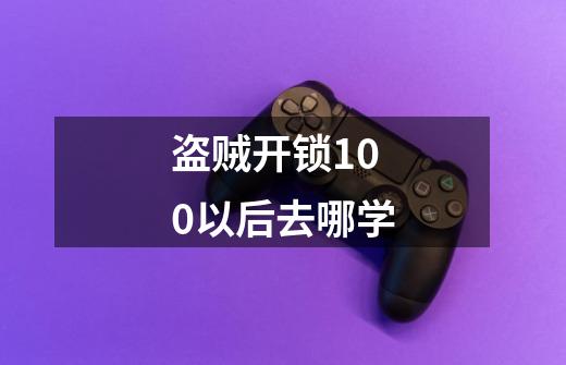 盗贼开锁100以后去哪学-第1张-游戏相关-尔合网